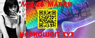 прущие грибы Апшеронск
