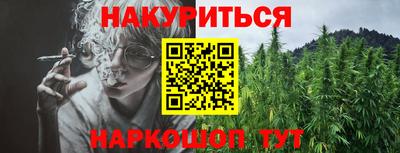 прущие грибы Апшеронск