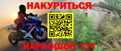 прущие грибы Апшеронск