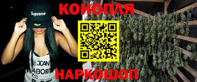 прущие грибы Апшеронск