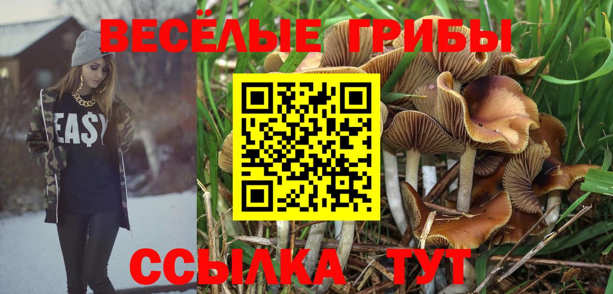Галлюциногенные грибы Cubensis Артём